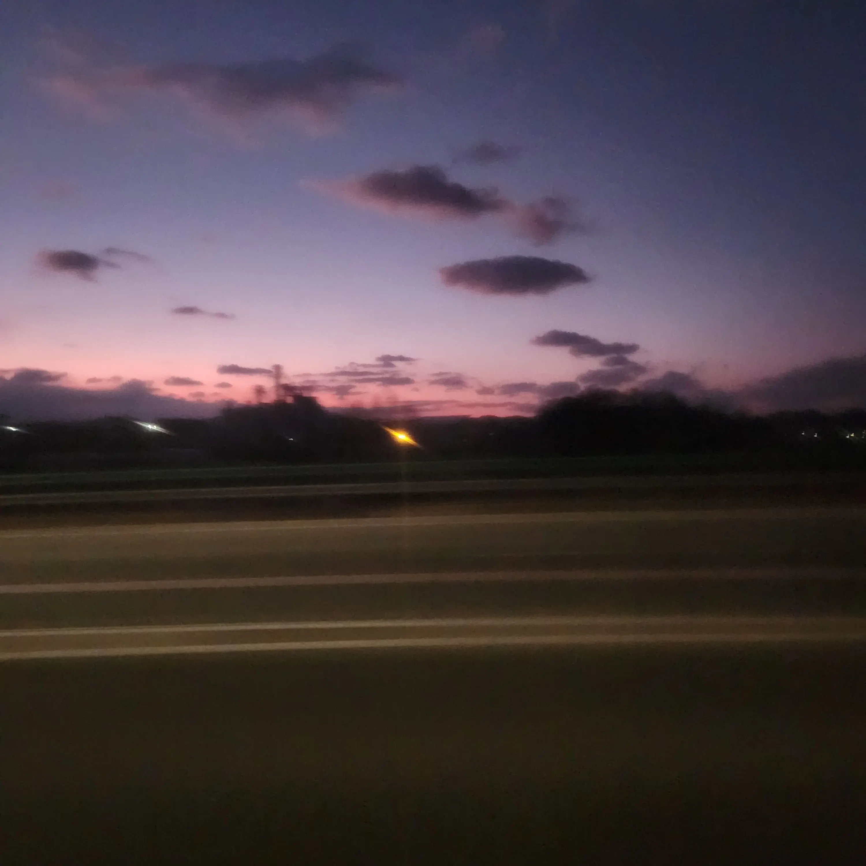 RuggedHero3942의 버니키즈카페