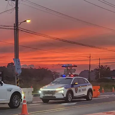 Profile image of 수현