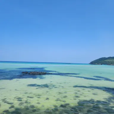 Profile image of 잠뜰