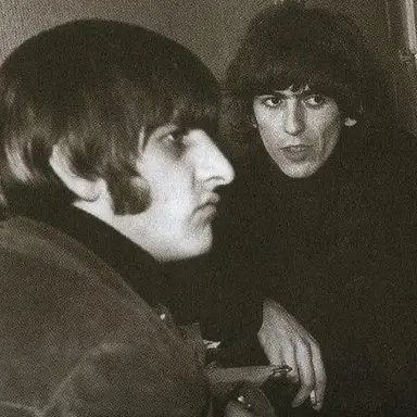 Profile image of Ringo