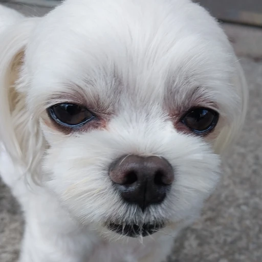 깜직이