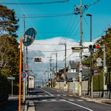 Profile image of 김성우 여우 포함