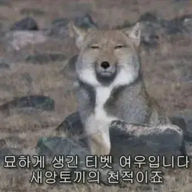 Profile image of 늑대