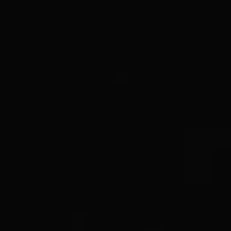 Profile image of 이시가미