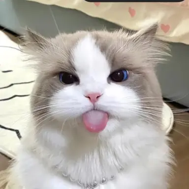 Profile image of 밀크