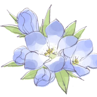 Profile image of 紫乃
