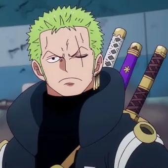 Onepiecegood의 원피스 조로