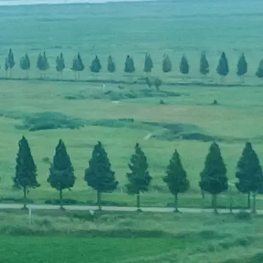 Profile image of 석믽