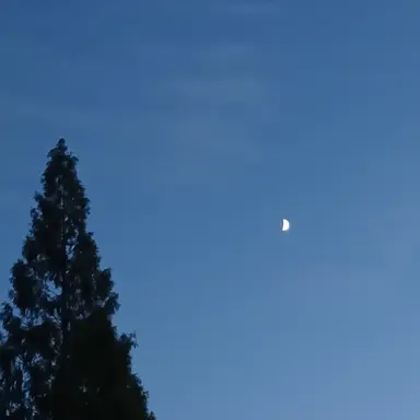 Profile image of 믽규