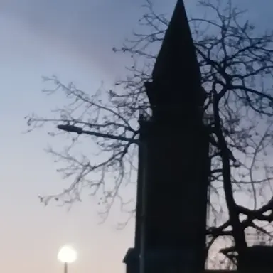 Profile image of 명호