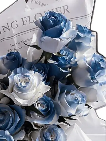 Kairaa__san의 ヴァンパイア