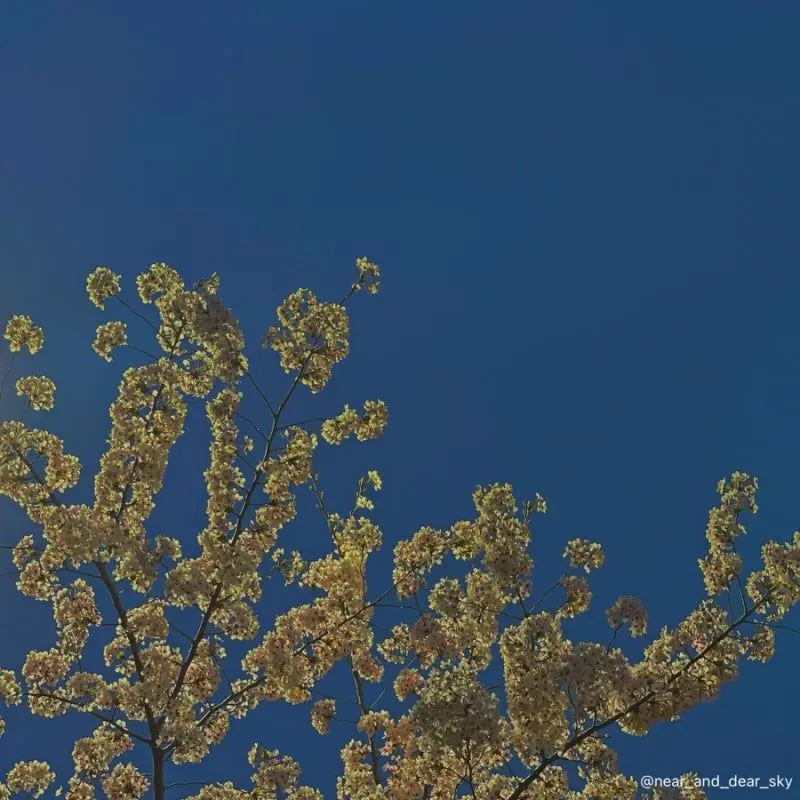 YJS103971의 지서연