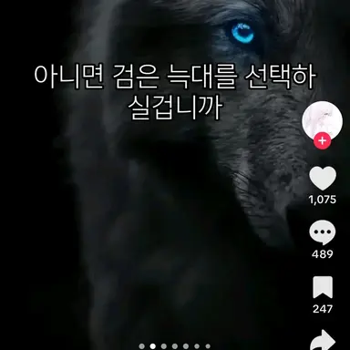 Profile image of 거송