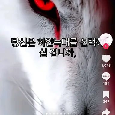 Profile image of 게송