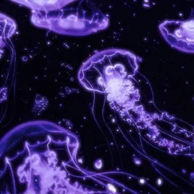 Profile image of 星導