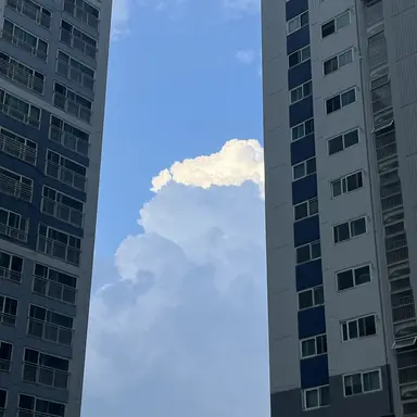 Profile image of 싸이코드 중학교