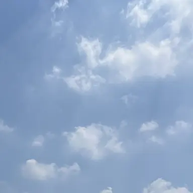 Profile image of 김재중