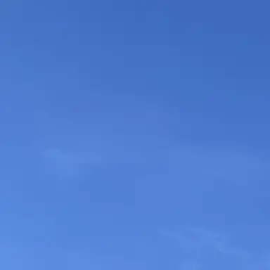 Profile image of 박유천