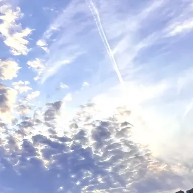 Profile image of 동방신기