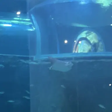 Profile image of 정윤호