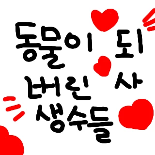 동물이 된 사생수