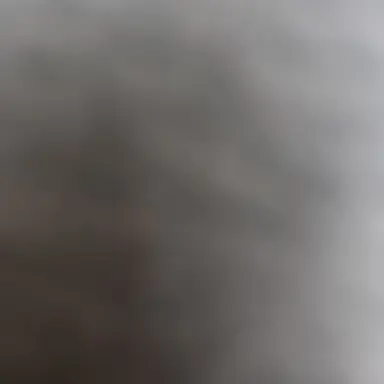 Profile image of 뉴비