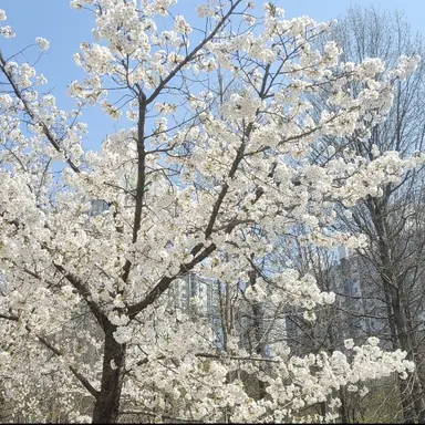 Profile image of 싸이코드