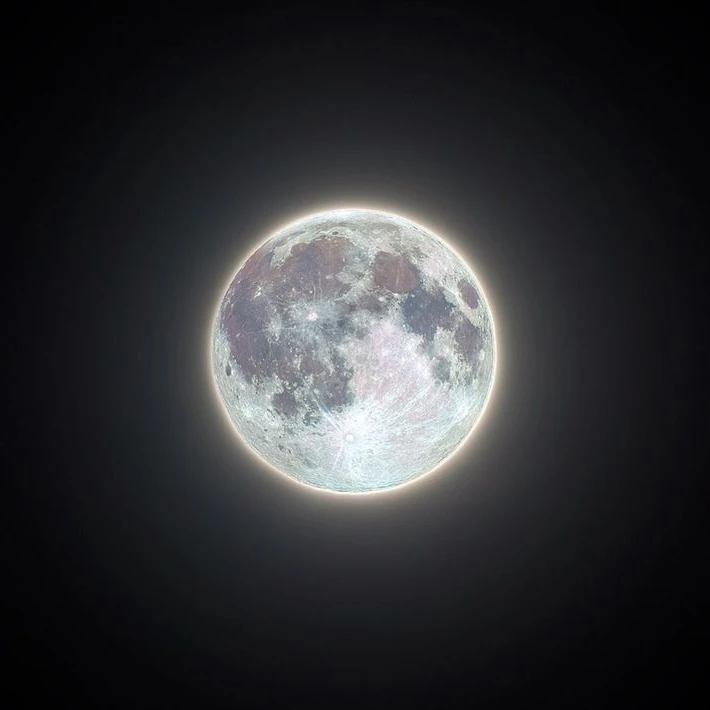 네버