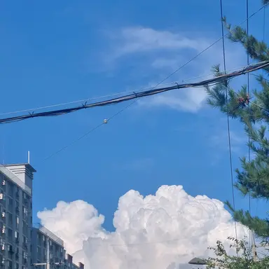 Profile image of 잠뜰