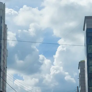 Profile image of 라더