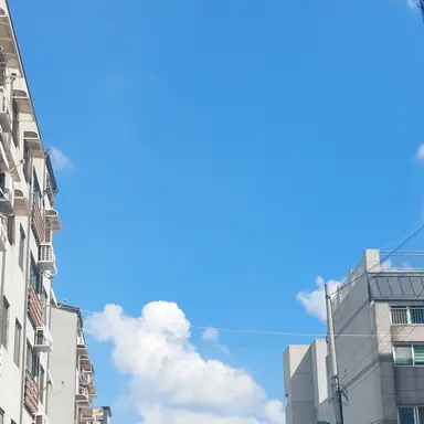 Profile image of 공룡