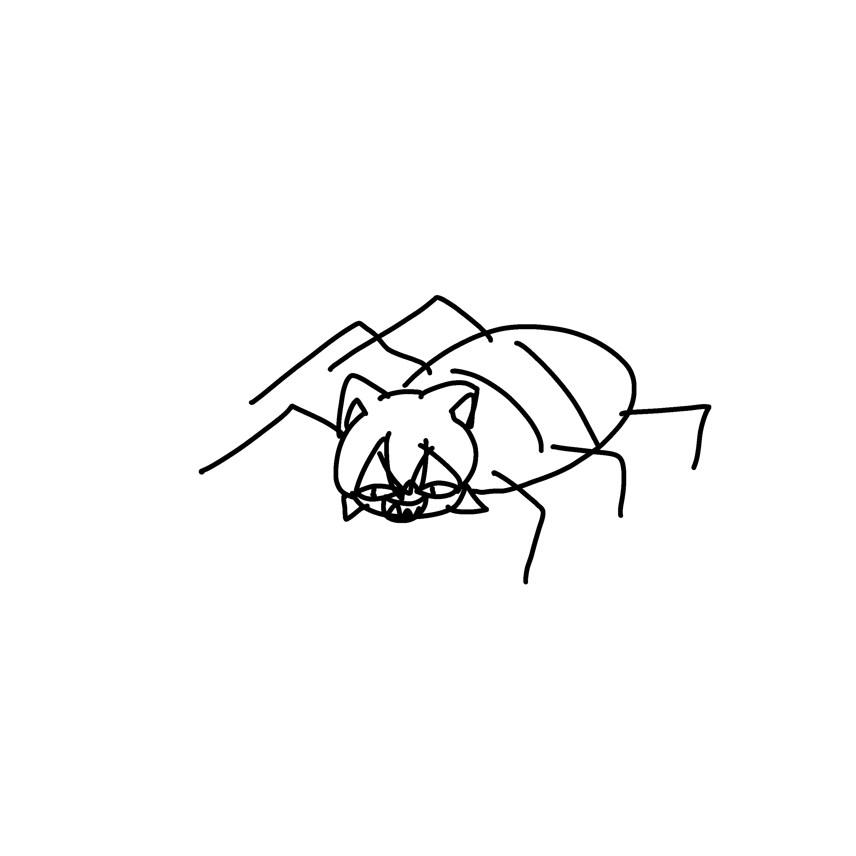 Kimjihu1234의 하루