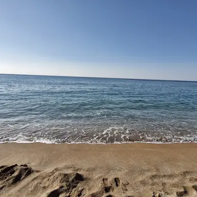 Profile image of 리온