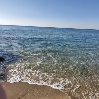 Profile image of 류