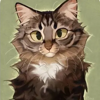 Profile image of Kiko
