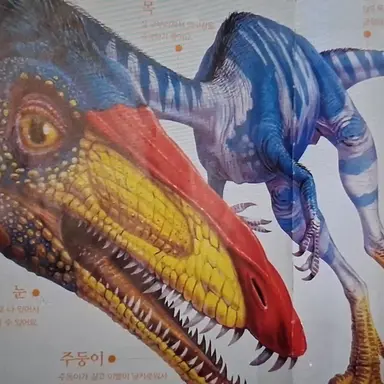 Profile image of 코일로피시스