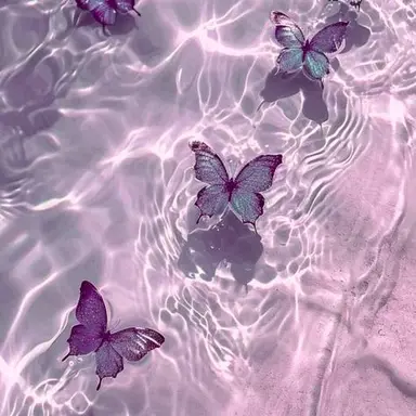 Profile image of 코쵸우 시노부