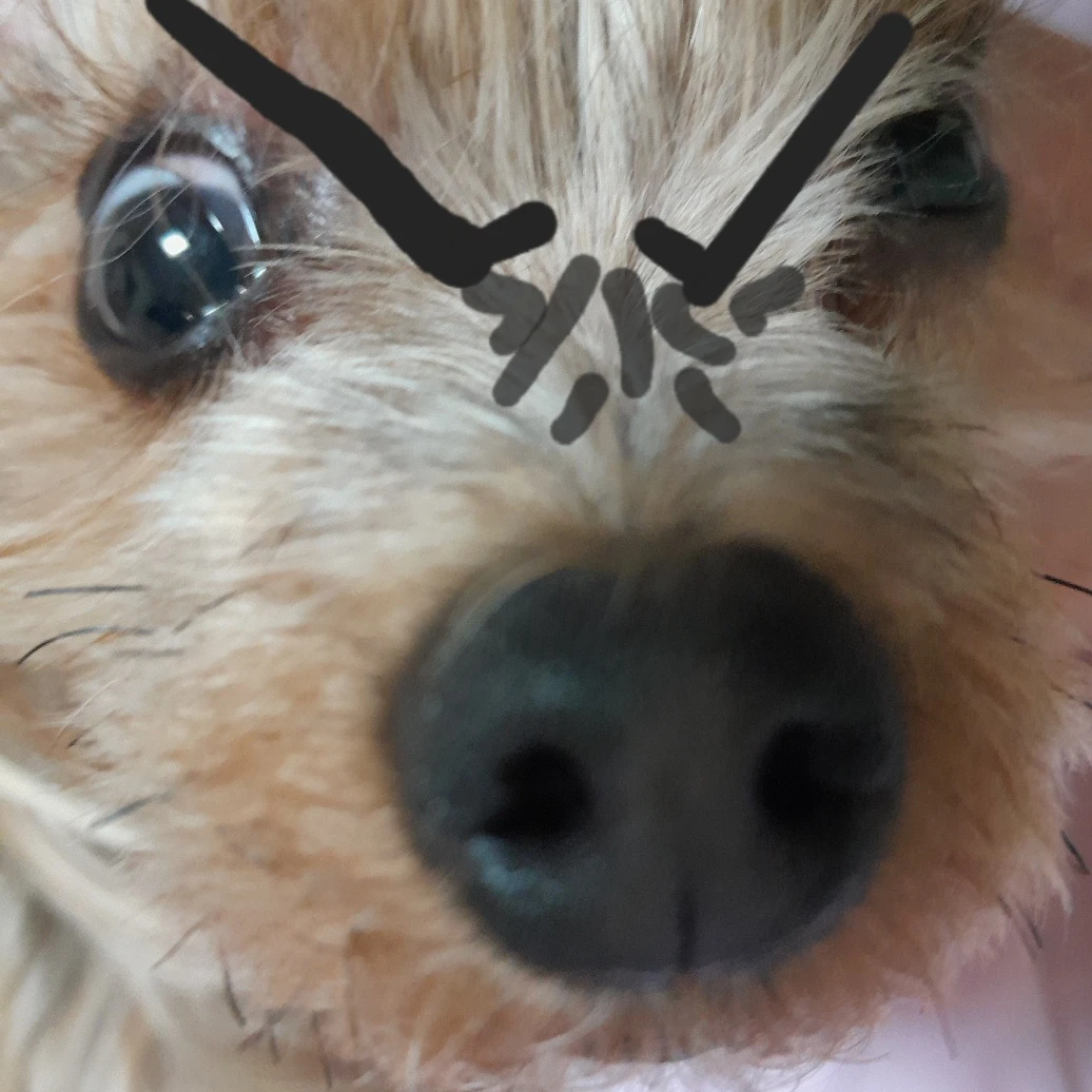 딸복이