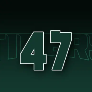 Profile image of 나성범