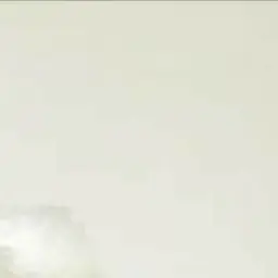 NAKAYA의 미야 아츠무
