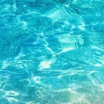 Profile image of 伊波ライ