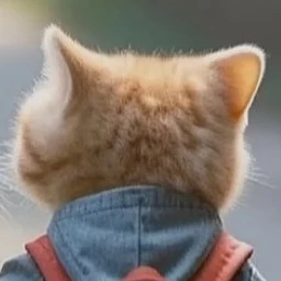 메가