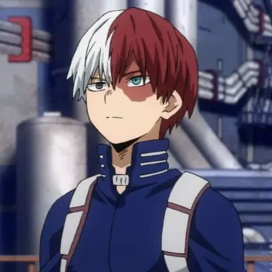 Profile image of Shoto Todoroki