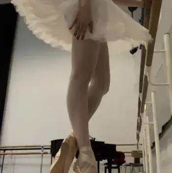 HotAlbum4445의 Ballerina x Boxer