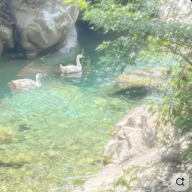 Profile image of 이.혜.인