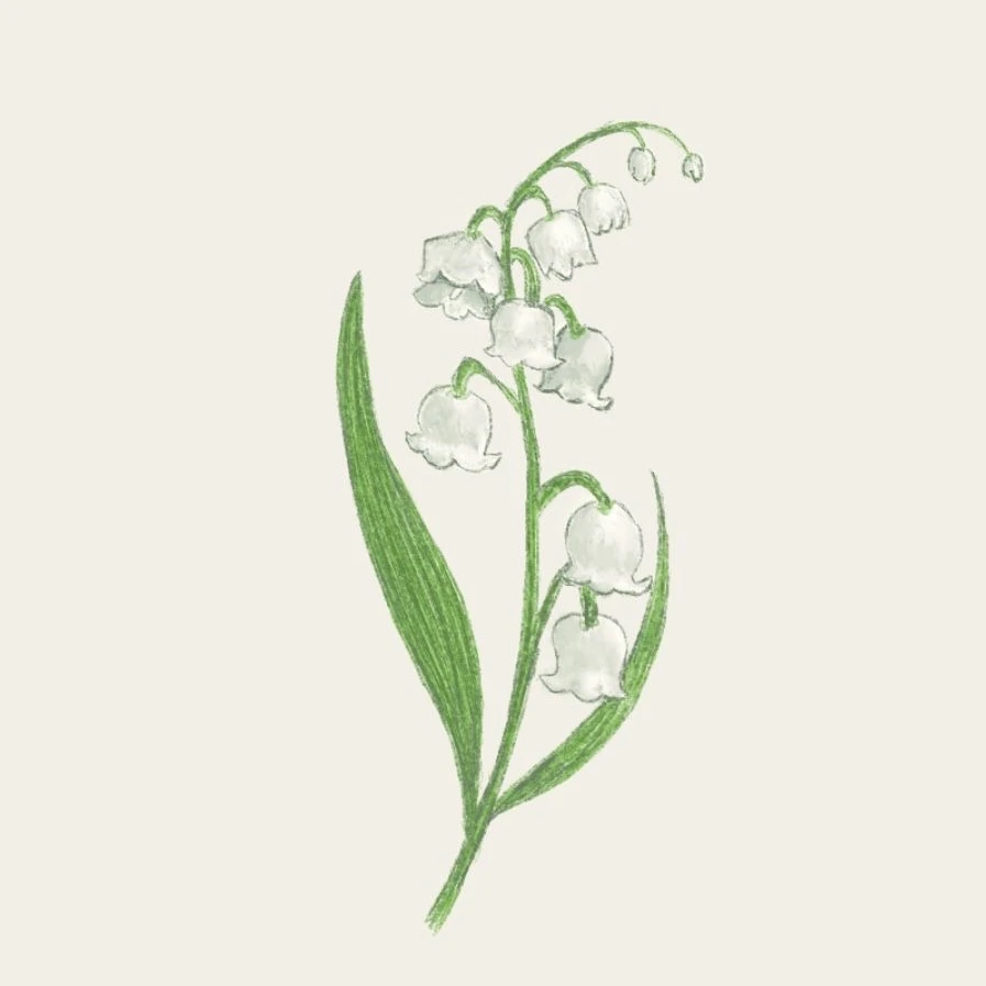 라더