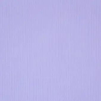 Profile image of 嵐