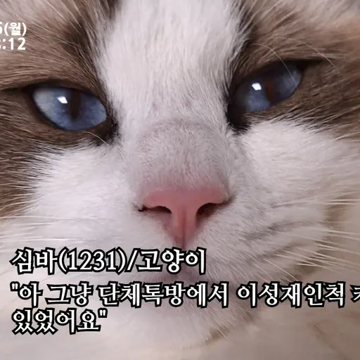 StubbyWharf119의 초딩게시판