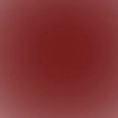 Profile image of SH