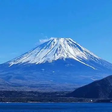 Profile image of 向井康二